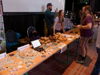 IMG 1067 DxO