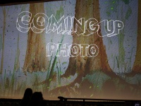 IMG 1156 DxO