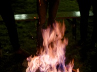 IMG 1747 DxO