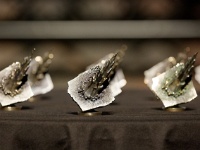 MeteoriksAward