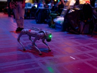 IMG 9507 DxO