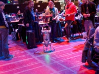 IMG 9510 DxO