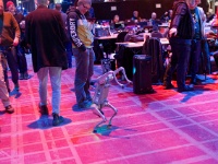 IMG 9511 DxO